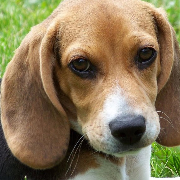 rubycedeno